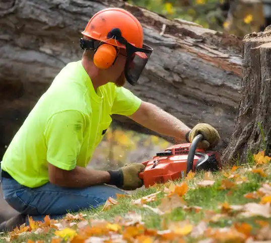 tree services Williamstown